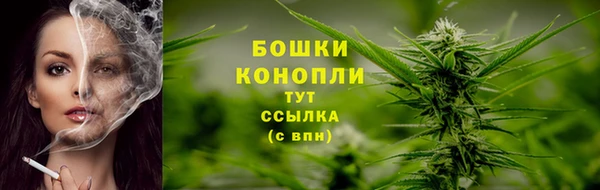 ешки Бородино