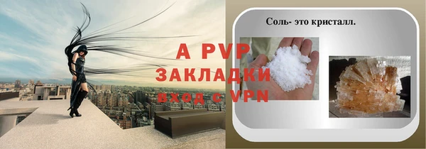 ешки Бородино