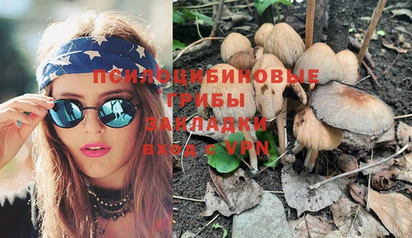 ешки Бородино