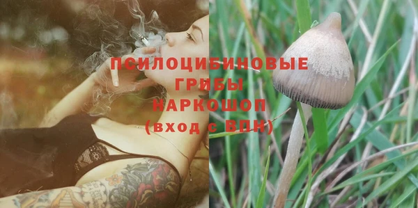 ешки Бородино