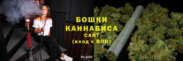 ешки Бородино